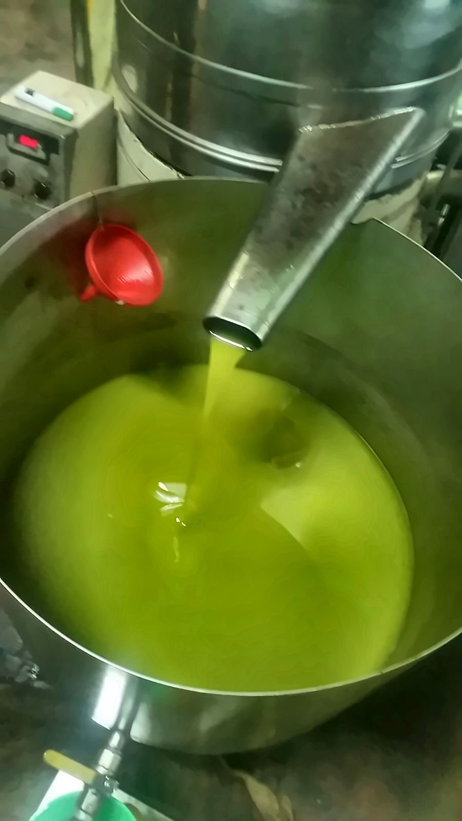 Fresh golden-green olive oil flowing into a steel vessel